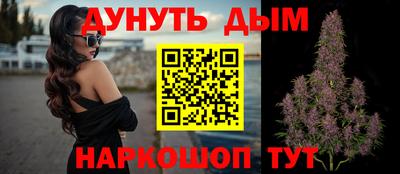 сатива Коммунар