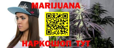 сатива Коммунар